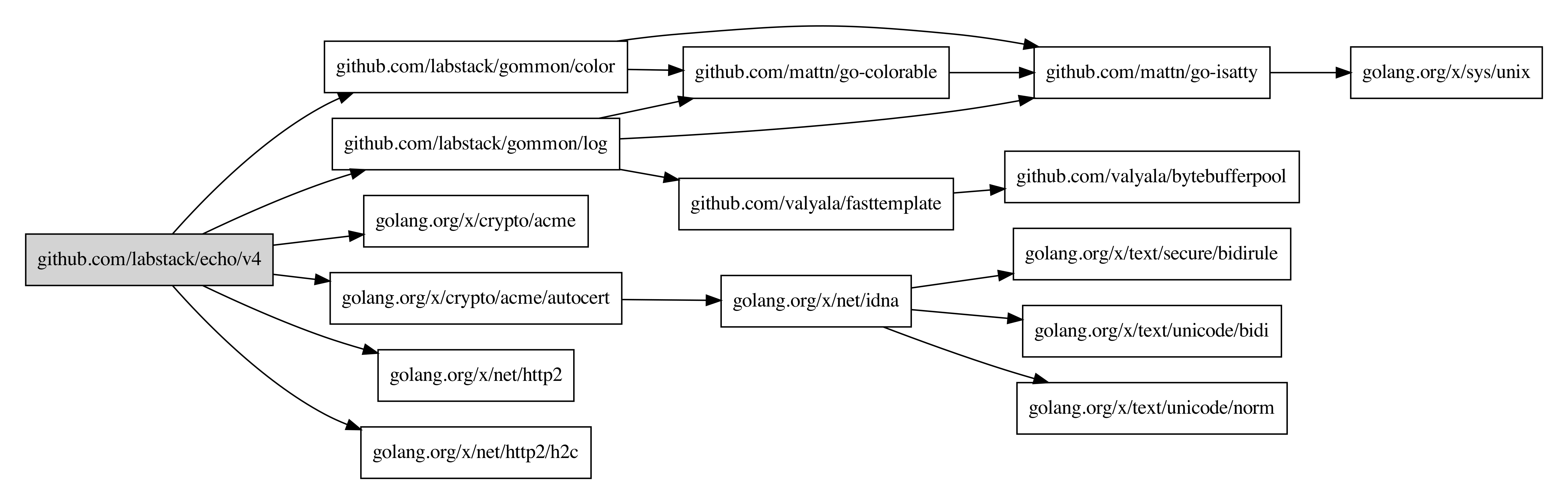 Example github.com/labstack/echo/v4
